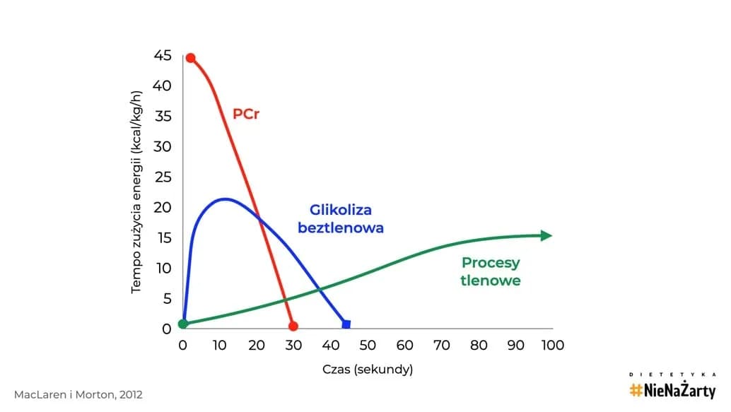 Kreatyna: Kiedy brać przed treningiem? Optymalny timing i dawkowanie